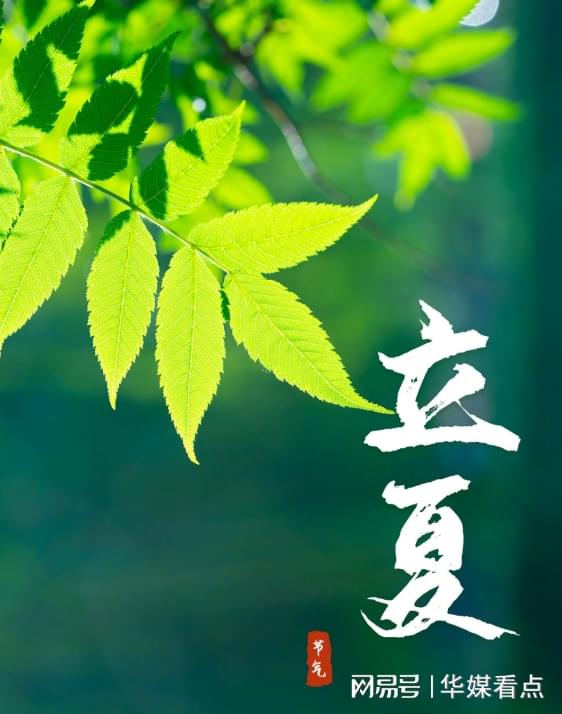 汇利资本 立夏，杏雨樱红油菜黄