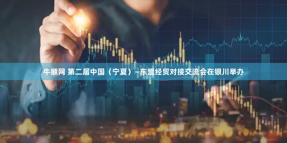 牛顺网 第二届中国（宁夏）—东盟经贸对接交流会在银川举办