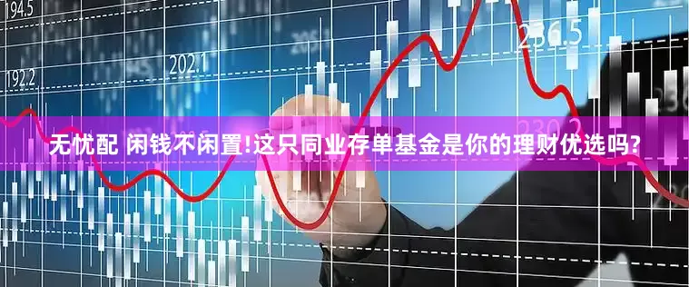 无忧配 闲钱不闲置!这只同业存单基金是你的理财优选吗?