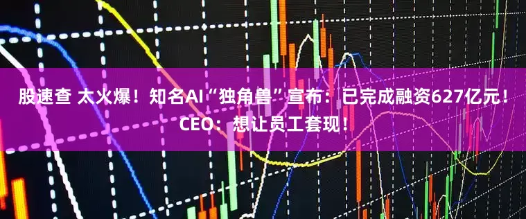 股速查 太火爆！知名AI“独角兽”宣布：已完成融资627亿元！CEO：想让员工套现！