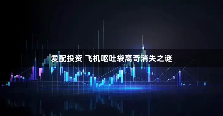 爱配投资 飞机呕吐袋离奇消失之谜